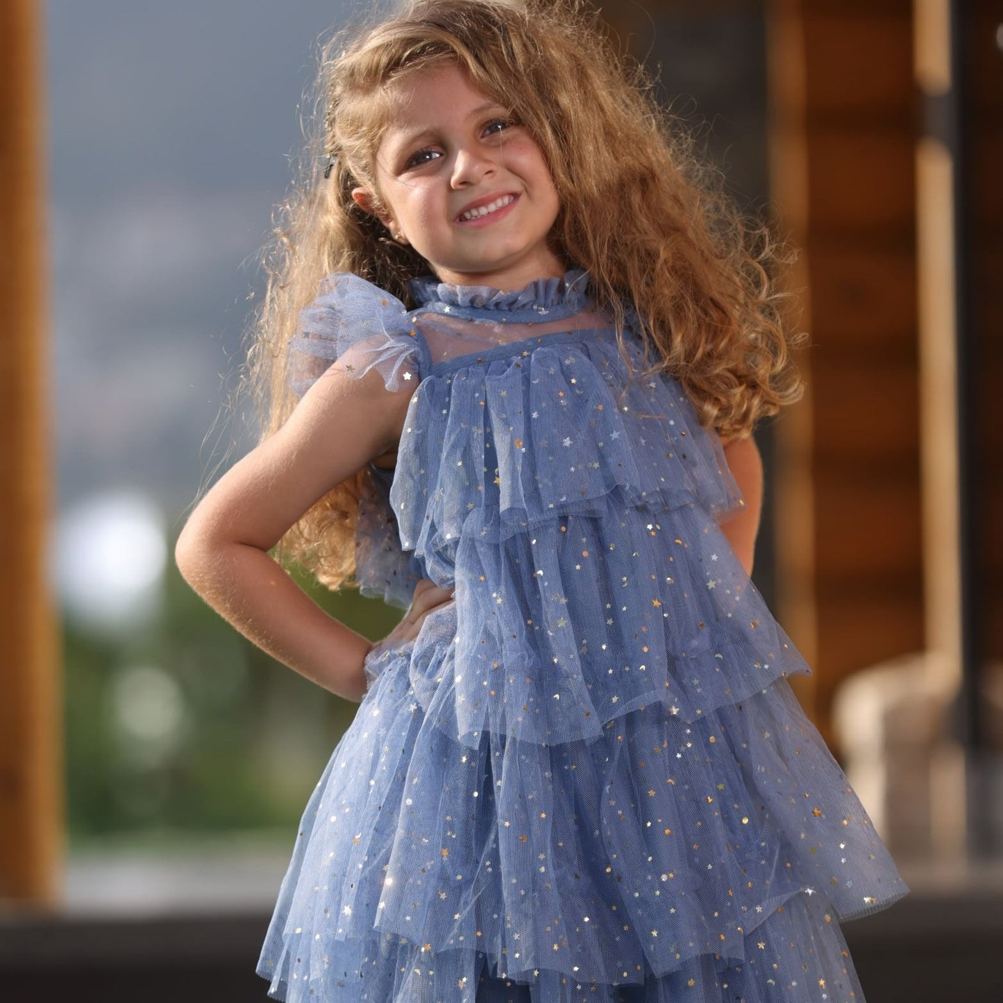 Tutu Tulle Dress