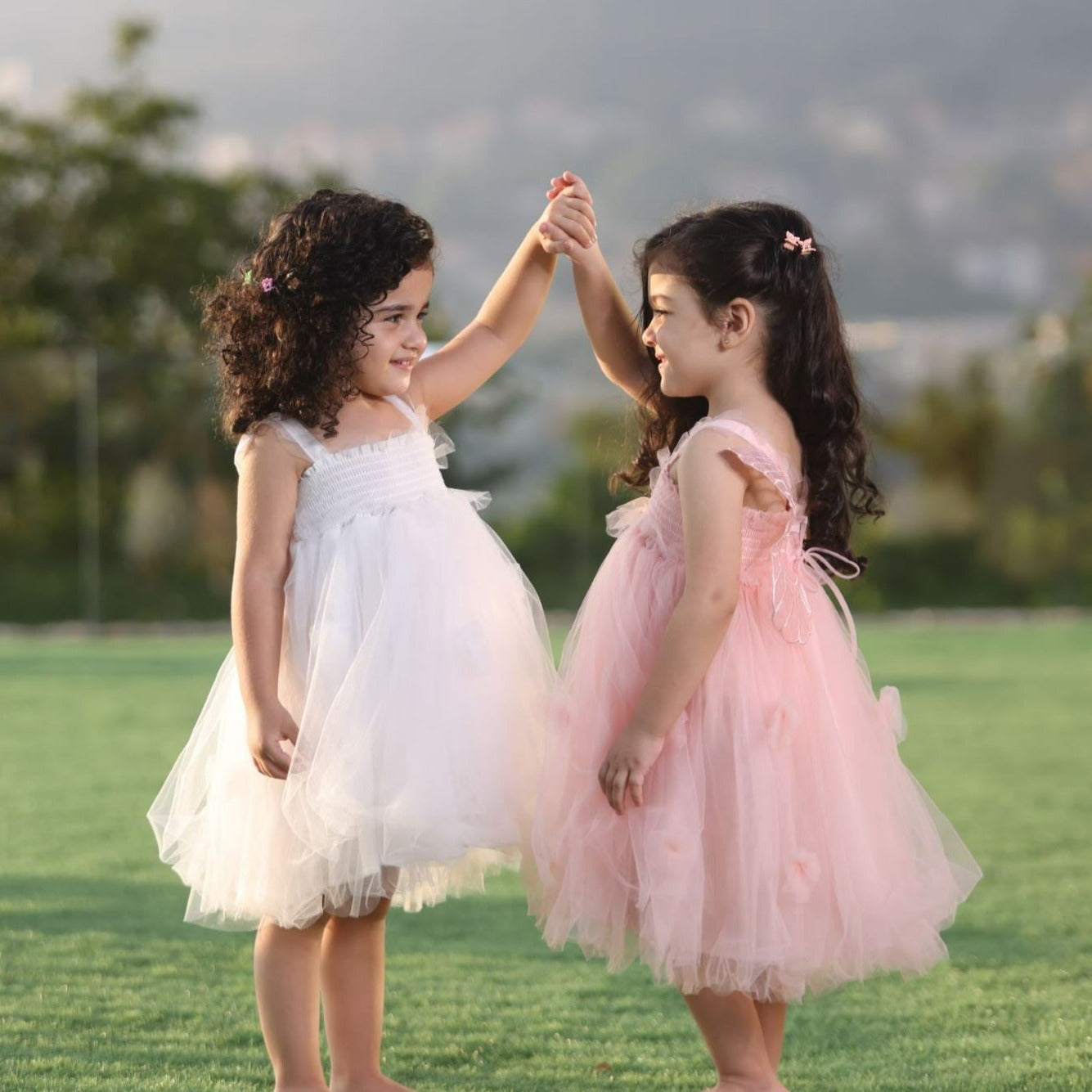 Butterfly Tutu Party Dress