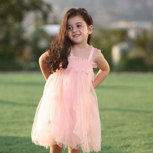 Butterfly Tutu Party Dress