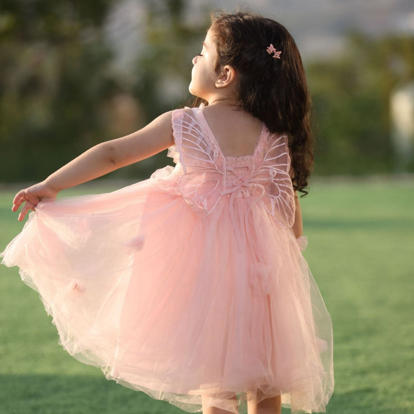 Butterfly Tutu Party Dress