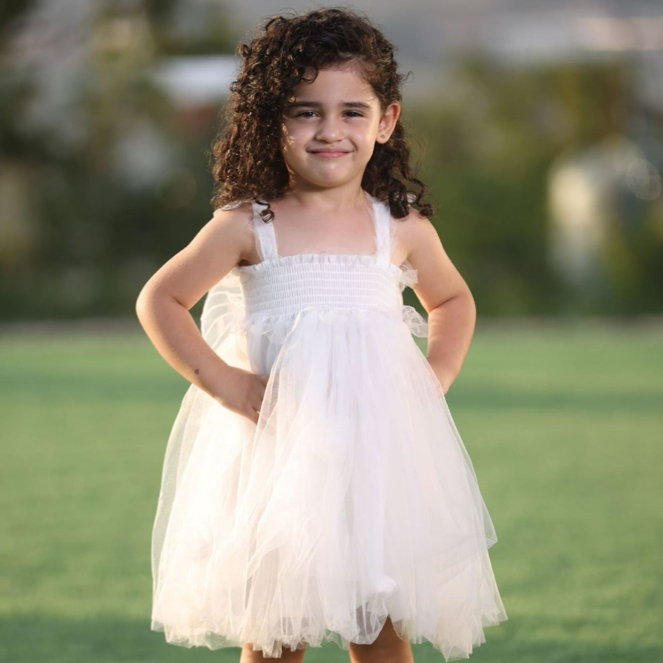 Butterfly Tutu Party Dress