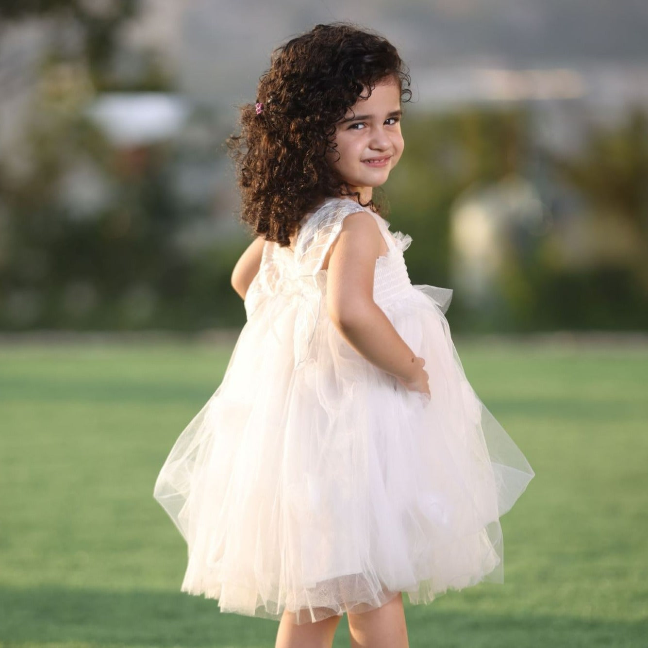 Butterfly Tutu Party Dress